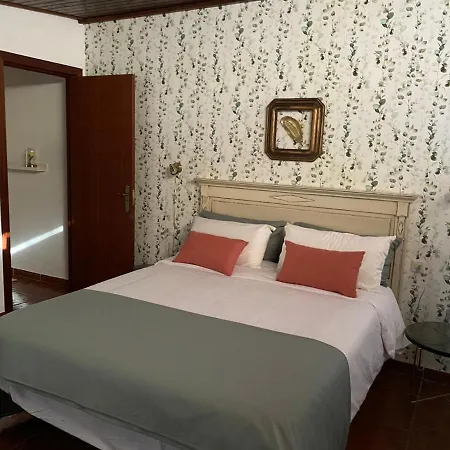 Old Town House La Laguna La Laguna (Tenerife)